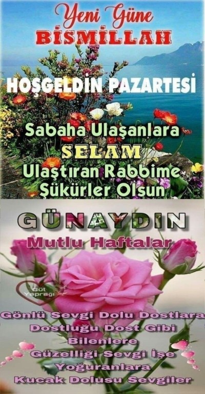 094a652d186e755a1e419963ce3e1c56.jpg