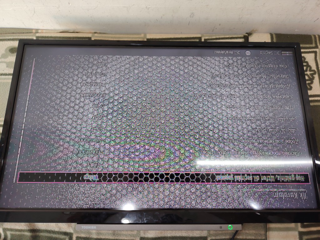 1000013529.jpg