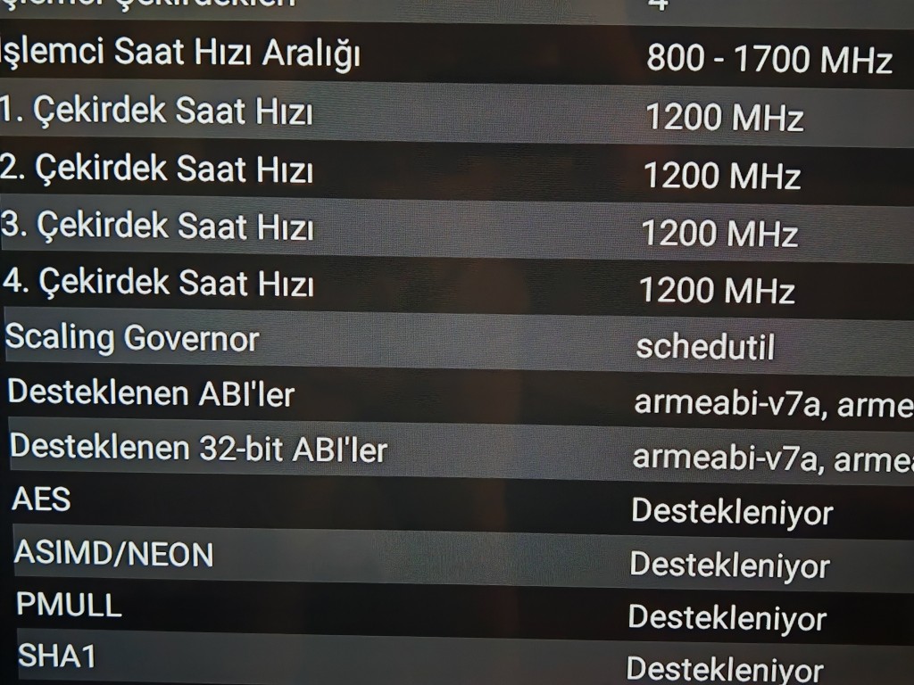 1000036581.jpg