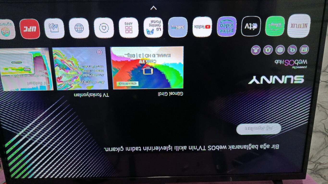 100008956922302b61c65e8e59.jpg