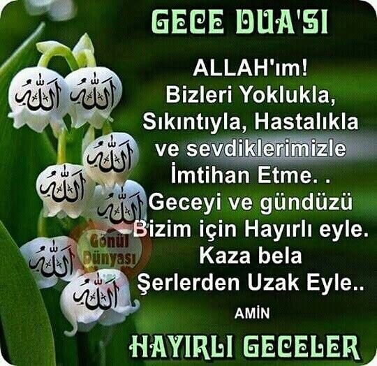 1c70e3edf03292c8ddeedbe41caa61cc31d4def4a2e3ccee.jpg