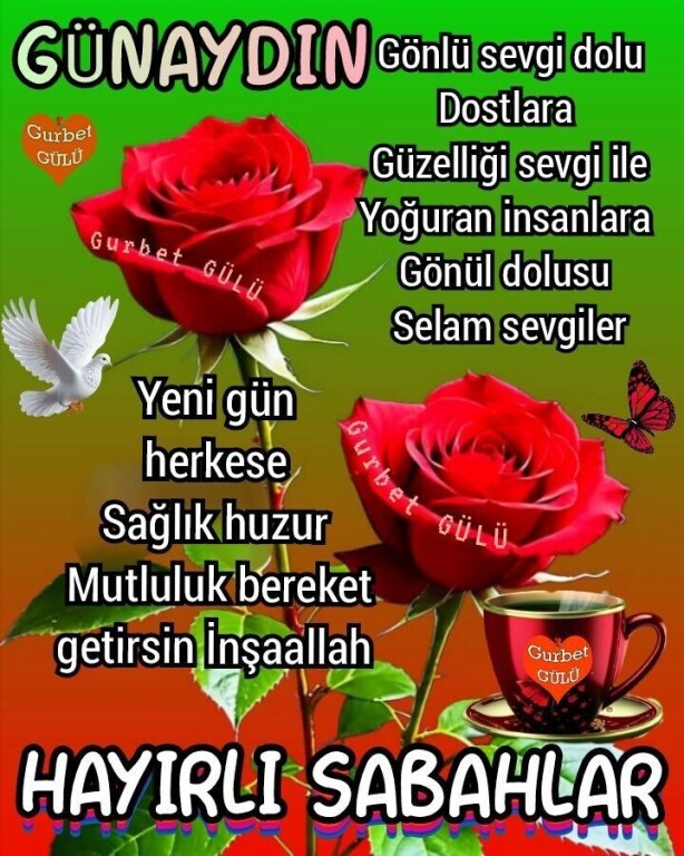 2c870b8f8426f5fc14e5441ab0260993.jpg