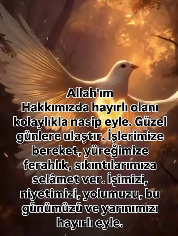 894d20d6aa77ed86b974b12b39c52bb6.jpg