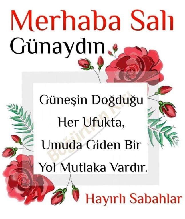 92eb3a22b1094dd88c017757b19ef688.jpg