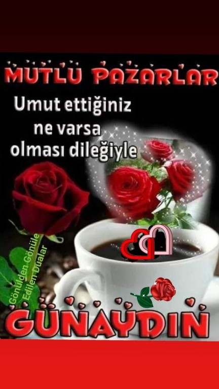 976c7a0aed65ffb1eda8a3baedb44504.jpg
