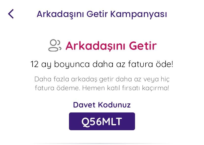 Q56MLT3acce388ce37e1e2.jpg