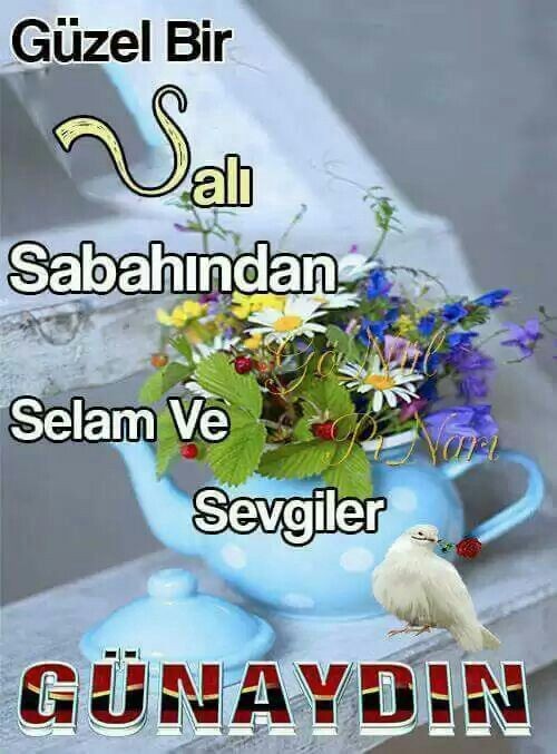 bb541ec9caf236baa279092ab9ddde28.jpg