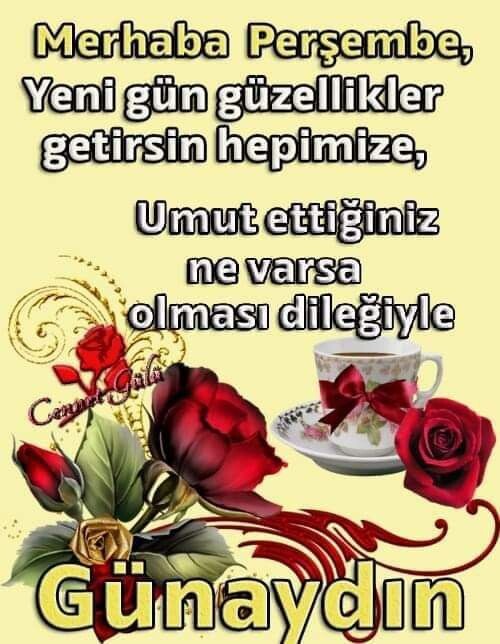 e766a6f158a53a14a7318aa4ea28a5e4.jpg