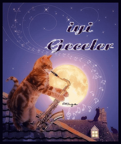 i937348 hgiyigeceler 52 5399