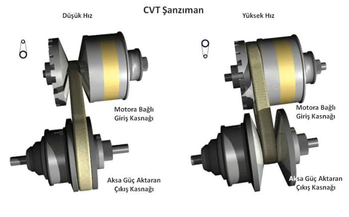 images11.jpg