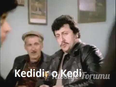 kedidir-o-kedi-aslan-bacanak-1977_8484535-20_640x360.jpg